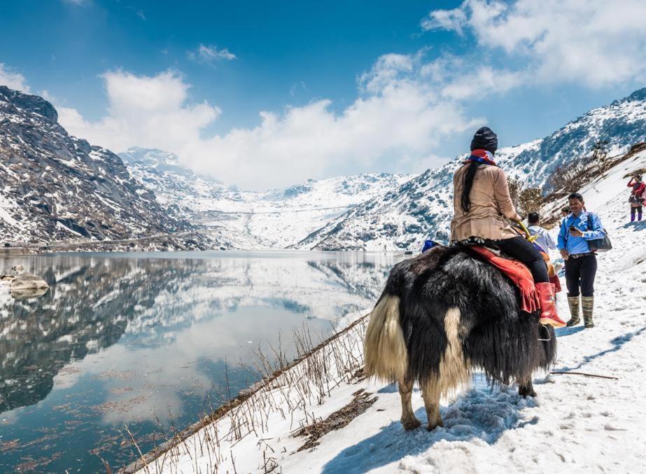 Snow White Retreat Hotel And Restaurant Gangtok Luaran gambar